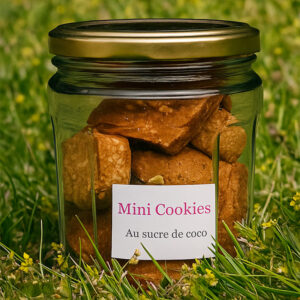 Bocal du mix mini-cookies